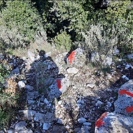 Guesthouse Hamiti Llogara Dukat المظهر الخارجي الصورة