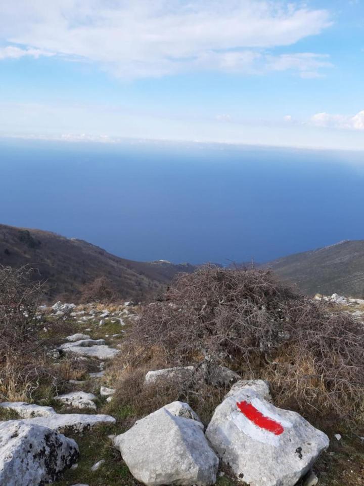 Guesthouse Hamiti Llogara Dukat المظهر الخارجي الصورة